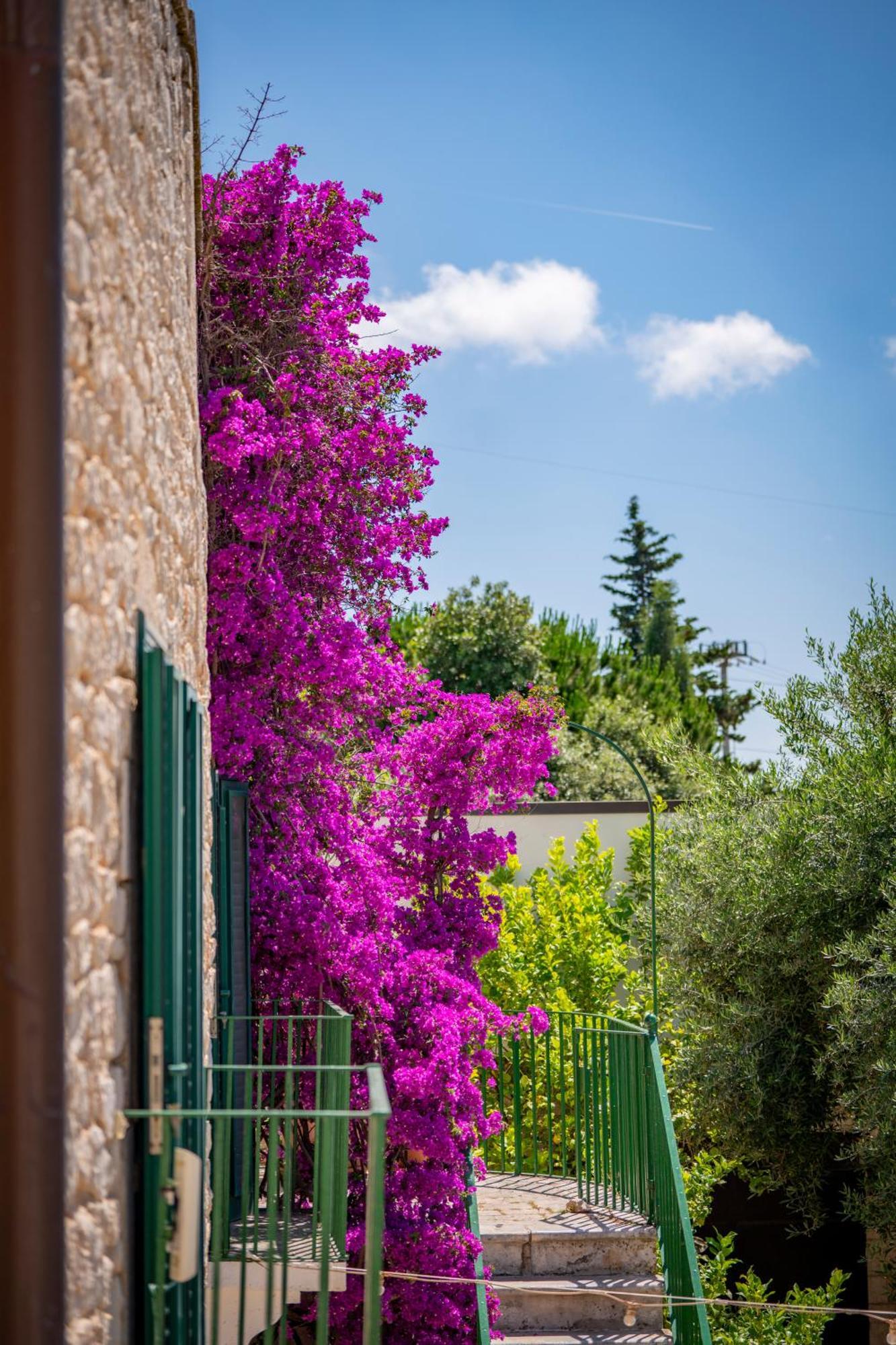 Masseria Montepaolo Dimora Di Charme Alloggio per agriturismo Conversano